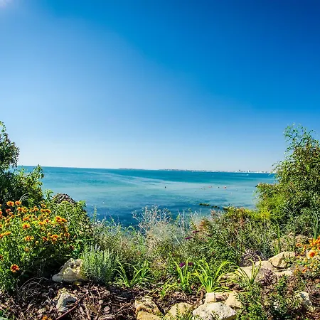 Premier Club - Full Board Hotell