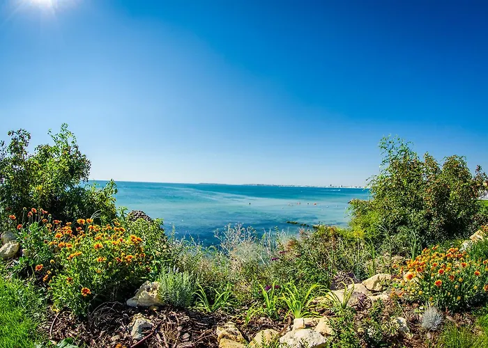 Premier Club - Full Board מלון